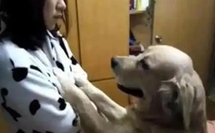 久久91精品国产91久久户